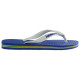 Havaianas Brasil Logo